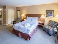 Pemberton Valley Lodge - Pet friendly