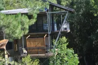 Ecoasis Mami Wata Rainforest Haven