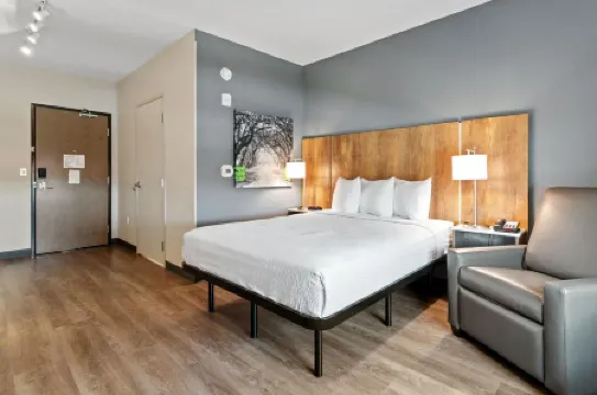 美國長住高級套房飯店-夏洛特港-I-75