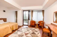 Hotel Cindrel Các khách sạn ở Rasinari