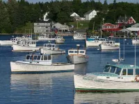 Lighthouse Cabins Maine Hoteles en Tremont