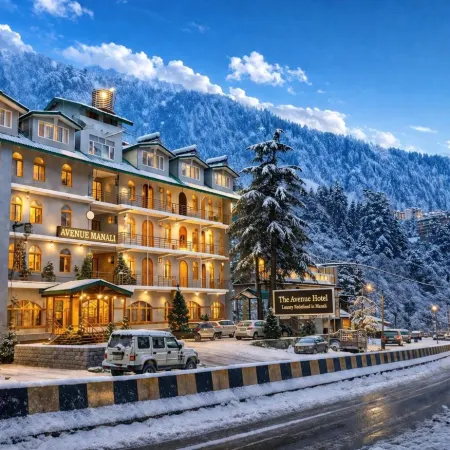 The Avenue River Side Hotel - Near Volvo Bus Stand Manali