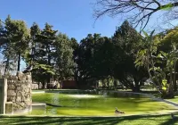 里斯本客房公寓 本菲卡住宿飯店