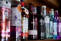 三薩爾蒙斯賓館 - 酒吧
