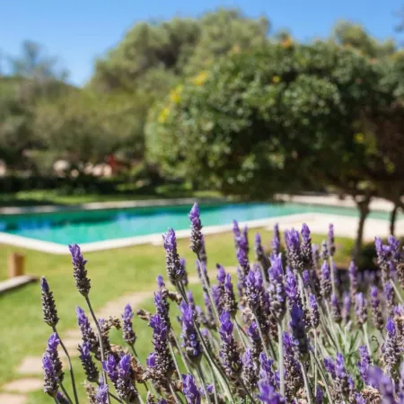 Oliver Moragues Grandhouse & Vineyard