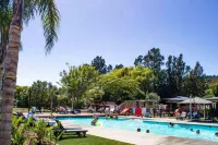 Hot Water Beach TOP 10 Holiday Park - Pools