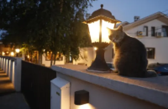 Villa Quantum Beograd