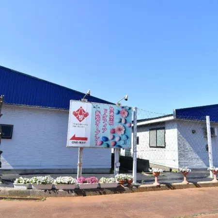 hotel dolphia