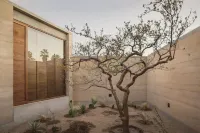 Salara