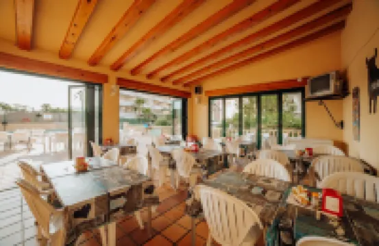 Apartamentos Palm Court