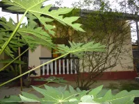Mama's Hostel by Taprobane - Villas