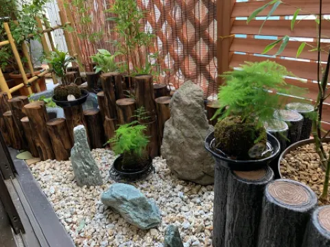 Akasakano-Sato(Premium)