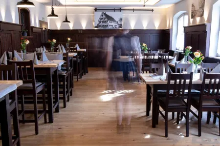 Hotel Zum Hirsch Отели в г. Диллинген-ан-дер-Донау