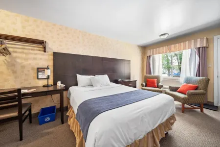 Hotel-Motel Coconut Отели рядом с достопримечательностью «Парк Сарсель»