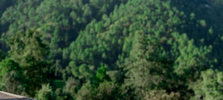 Himadvaya- The Himalayan Prism Hotels in Almora