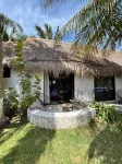 Mayan Mittoz