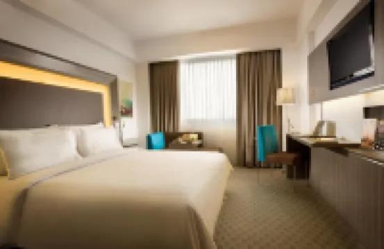 邦加諾富特酒店和會議中心 酒店