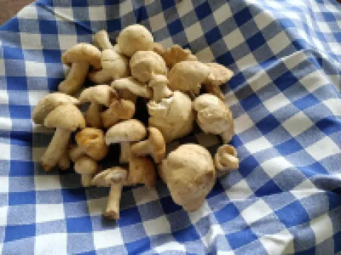 Albergo Lago Verde Hotels in Pennabilli