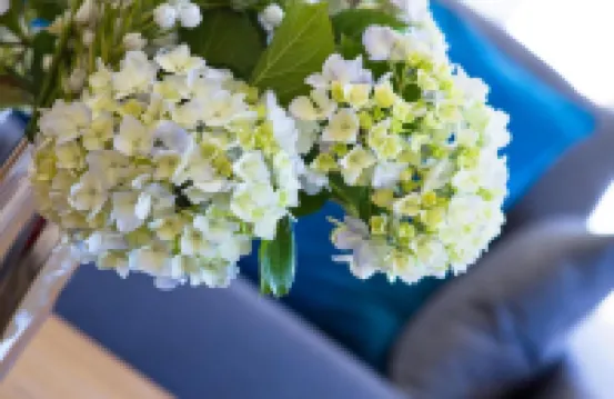 Duerming Sea View Viveiro