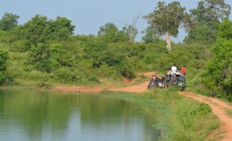 Pavana Resort