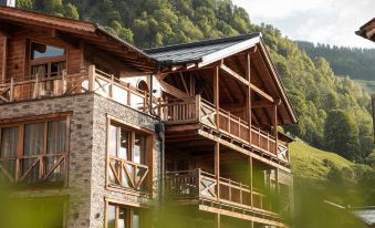 Wildkogel Resorts - Das Bramberg