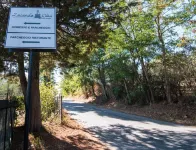 LOCANDA OLIVI affitta camere Hotels in Ostra