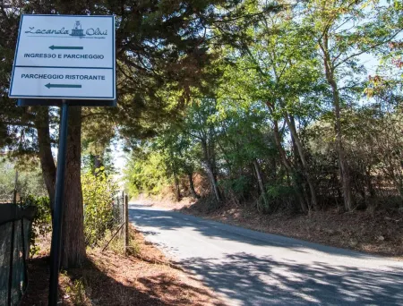 LOCANDA OLIVI affitta camere