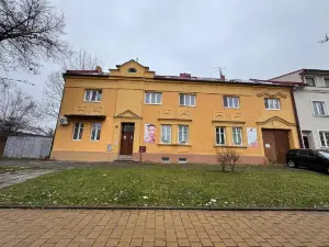 Holicak