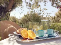Blue Fish Hotels in Milos