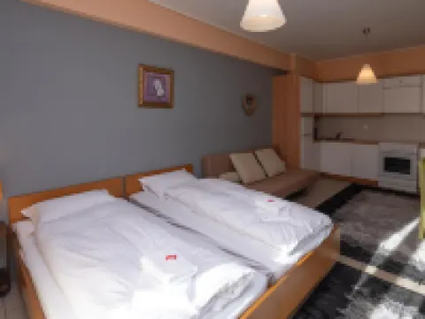 Xenonas Drimos Hotels in Karpenisi