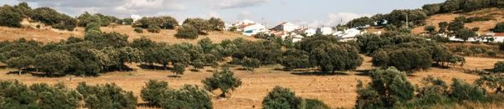 Boutique-Privatunterkünfte