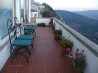 Casa da Arvore