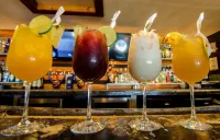 Coral by the Sea - bar