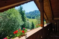 Hotel Bad Rain Mit Oberstaufen PlusGolf - Mountain view