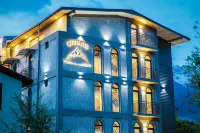 Hotel Mestia Inn Hotels in 