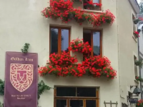 Golden Lion Hotels in Bouillon