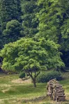 Le Jardin Saint Germain Lodges and Events