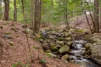 Mid-Century Tenney Mountain Condo Near Hiking - Spa