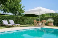 Quinta da Alcaidaria Mor - Yüzme Havuzu