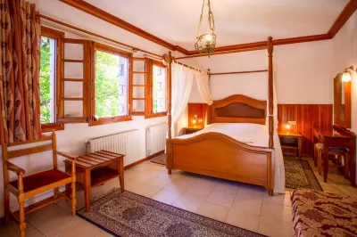 Hotel Adonis Hotels in Metsovo