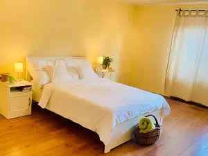 Sunny Attic Apartment