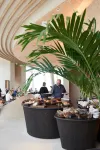 C-Hotels Silt - petit déjeuner
