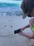 德索賓豪華別墅 - 海滩