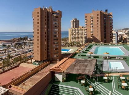 Las Palmeras Affiliated by Fergus