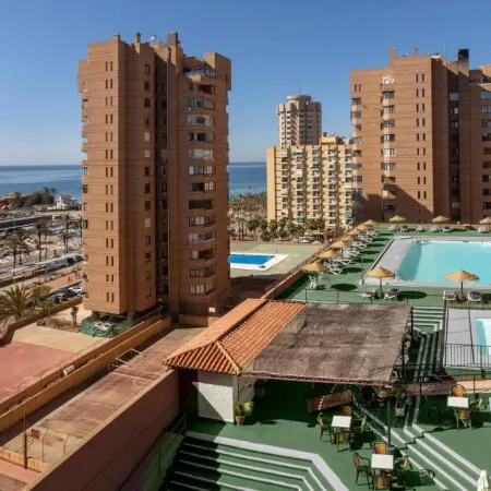 Las Palmeras Affiliated by Fergus