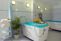 Interhotel Central - avec sources thermales
