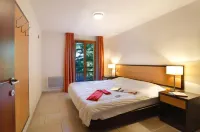 Résidence Néméa le Grand Lodge Hotels in Chatel