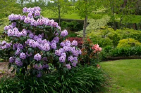 Kerry Lane Motel Hotels in Hawera