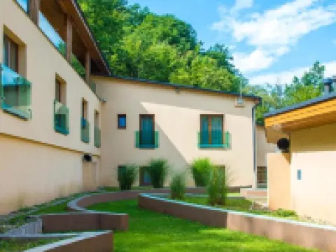 帕塔克公園酒店 維謝格拉德酒店