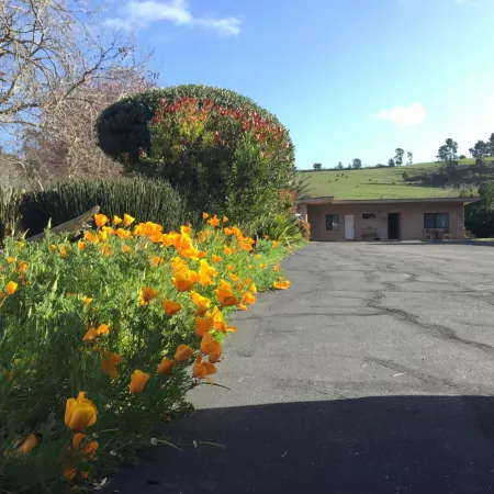Cambria Palms Motel